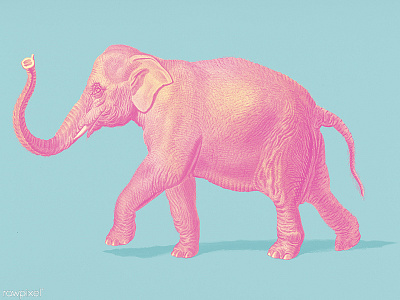 Pop elephant animal elephant illustration pink popart popcolor publicdomain wallart