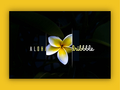 THE FIRST aloha clean colors design firstshot flower hello minimal photoshop webdesign yellow