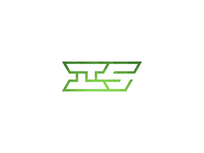 TTS Logo 5 color green letters lines logo tts white