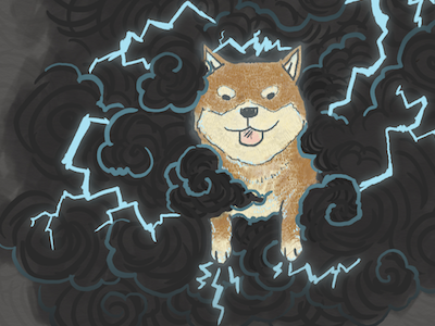 shiba storm illustration lightning shiba