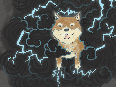 shiba storm