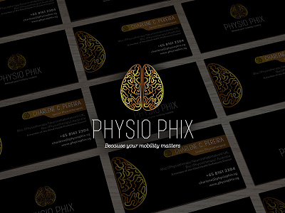 Phisio Phix brain branding consellors logo mark namecard physiophix