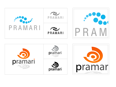 Pramari Branding Study #1 branding