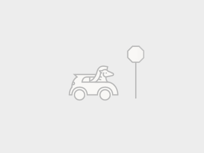 Loader - Driving Zebra animated css loader loading svg zebra