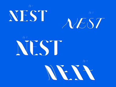 Nest logotype drafts branding graphic design handlettered lettering logotype rough draft type design typography wip