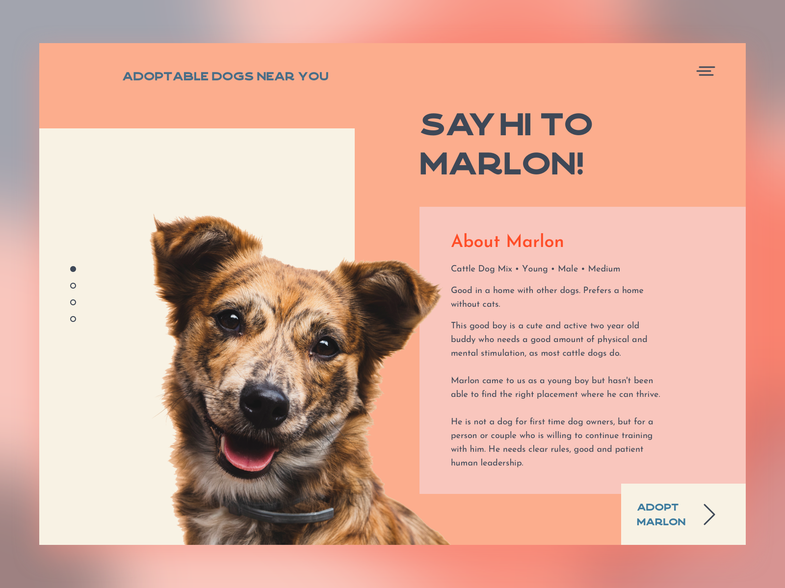 Pet adoption platform by Irene Bautista on Dribbble