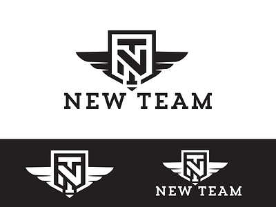 NewTeam apparel clothes illustrator logo sport team tshirt