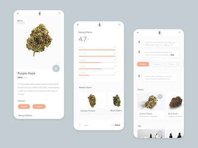 Cannabis Marketplace (Concept)