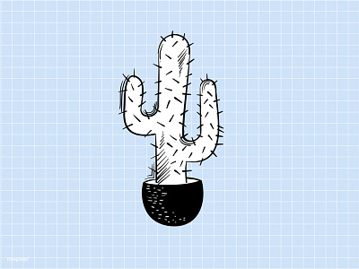 Cactus doodles hand drawn illustration vector