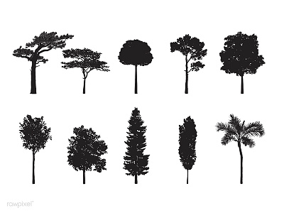 Tree Silhouette Vectors by Sasi for rawpixel on Dribbble