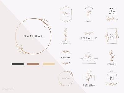 Organic product brand logo vector collection badge botanic botanical collection doodle drawing element flora floral flower frame gold golden graphic hand drawn illustration logo minimal natural tree