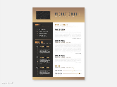 Modern curriculum vitae template vector