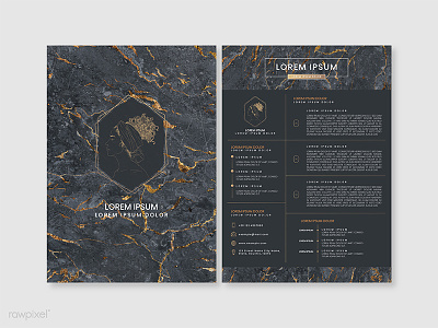 Luxurious marble textured portfolio vector design illustration marble mockup portfolio resume template templates vector