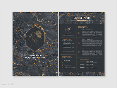 Luxurious marble textured portfolio vector