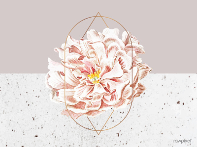 Peony floral frame blossom design