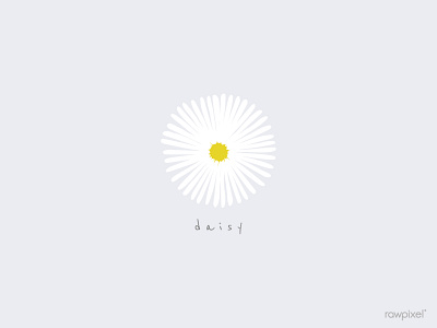 daisy design illustration vector wallpaper