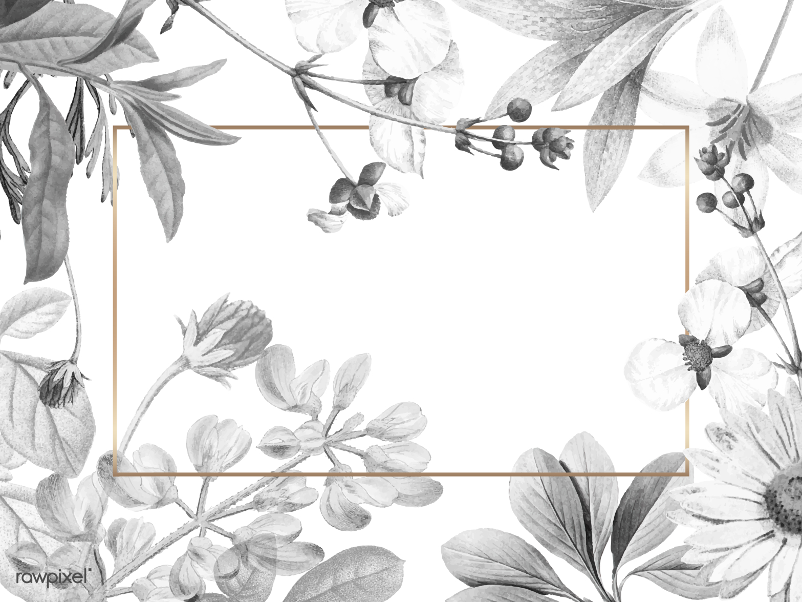 Blank floral frame design by Sasi for rawpixel on Dribbble