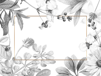 Blank floral frame design blackandwhite blooming design gold frame illustration