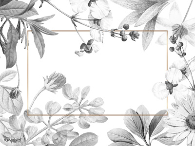 Blank floral frame design