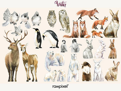 Winter Animals Vector Set adobe illustrator cc adobe photoshop cc animals artwork concept design hand drawing hand make illustration painting sketch watercolor watercolor painting watercolors winter