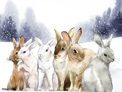 Animals Winter set adobe illustrator cc adobe photoshop cc animals artwork concept hand drawing handmade illustration painting watercolor watercolor painting watercolors