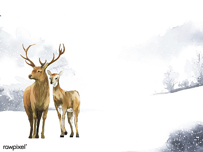 Animals Winter set adobe illustrator cc adobe photoshop cc animals artwork concept handmade illustration painting sketch watercolor watercolor painting watercolors