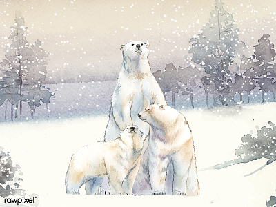 Animals Winter set adobe illustrator cc adobe photoshop cc animals artwork concept handmade illustration painting sketch watercolor watercolor painting watercolors