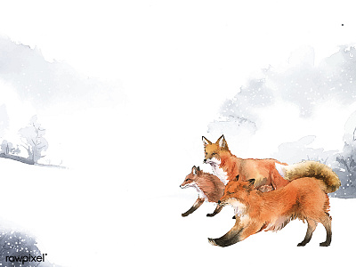 Animals Winter set adobe illustrator cc animals artwork concept foxes illustration painting sketch watercolor watercolor painting watercolors