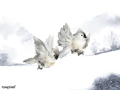 Animals Winter set adobe illustrator cc adobe photoshop cc artwork birds concept illustration painting sketch watercolor watercolor painting watercolors