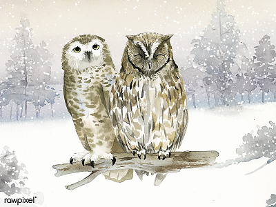 Animals Winter set adobe illustrator cc adobe photoshop cc animals artwork concept illustration owl painting sketch watercolor watercolor painting watercolors