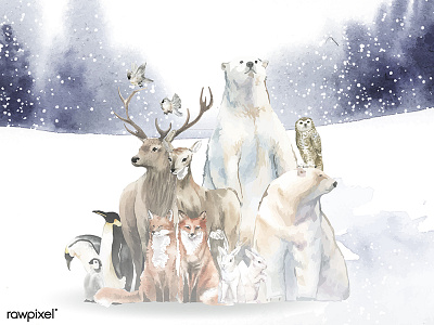 Animals Winter set adobe illustrator cc adobe photoshop cc animals artwork composition illustration painting sketch watercolor watercolor painting watercolors