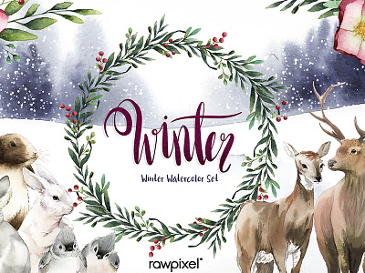 Animals Winter set adobe illustrator cc adobe photoshop cc artwork concept illustration painting sketch watercolor watercolor painting watercolors