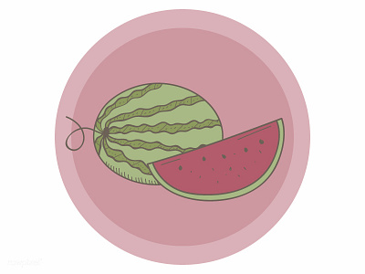 Watermelon fruit hand drawn illustrations red slice vector watermelon