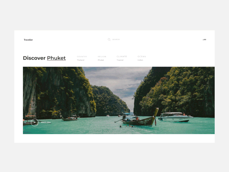 Traveller animation ui ux web webpage website