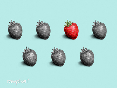 Strawberry colorpencil drawing fruits illustration strawberry