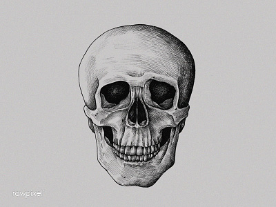 SKULL handrawing illustration vintage vintage illustration