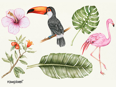 I NEED VACAY! colorpencil drawing illustration tropical vintage illustration