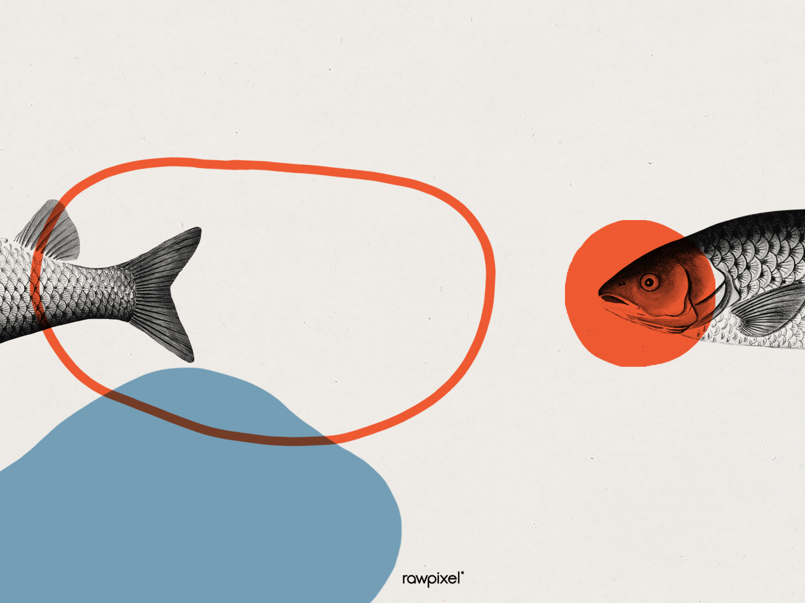 Vintage fish frame art by Watchawa for rawpixel on Dribbble