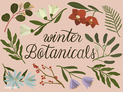 Winter Botanicals