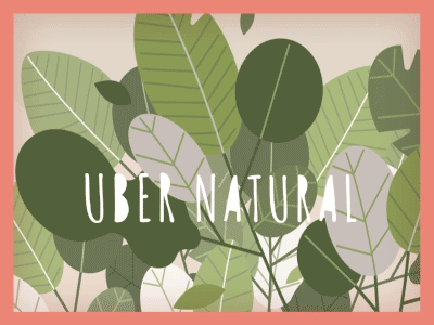 Uber Natural Leaf Burst after effects animation gif leaf leaves motion motion design nature nick sampson sampson visuals