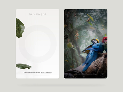 BreathePod - iOS and Tablet android breathepod breathing ios meditation meditation app mindfulness tablet ui