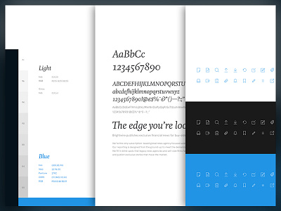 Brightwire Brand Guideline brand brand guideline design guideline icons typography