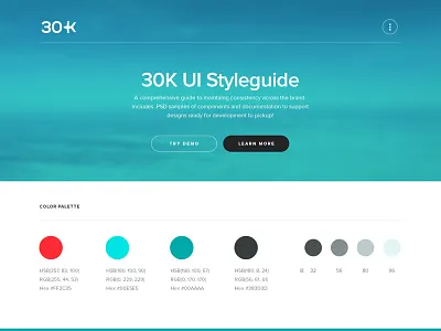 30k Initial Style Guide airline brand color desktop fly fonts identity style styleguide typeface web