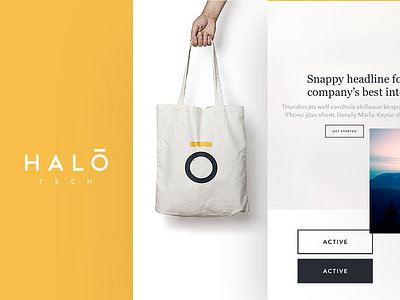 Halo Brand & UI Styleguide