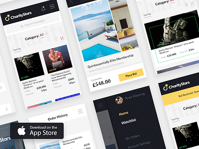 charitystars.com app auction bid charity mobile ui ux