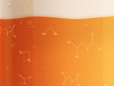 The Chemistry of Beer beer chemistry design illustration