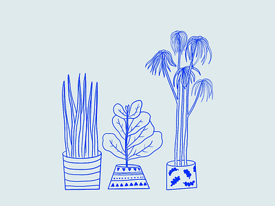 House Plants illustration line art plant illustration plants procreate wip