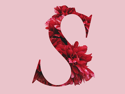 S letter s letters photoshop typography typography art wip