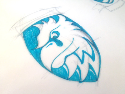 Raven Sports Logo
