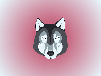 Wolf animal draw illustration illustrator pet wolf